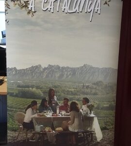 Enoturisme a Catalunya - Penedès